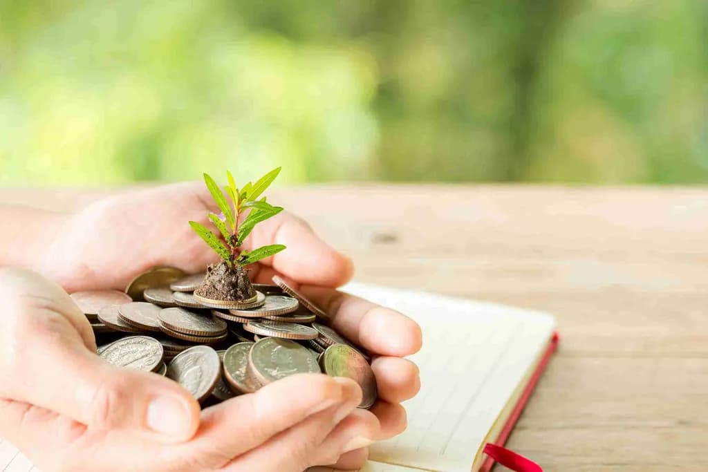 Cara Memaksimalkan Infaq Sebagai Investasi Akhirat