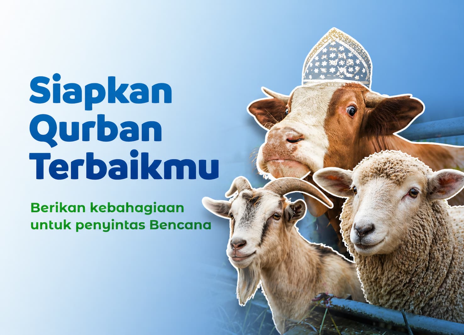 Kirim Qurban Terbaik Untuk Penyintas Bencana Aceh