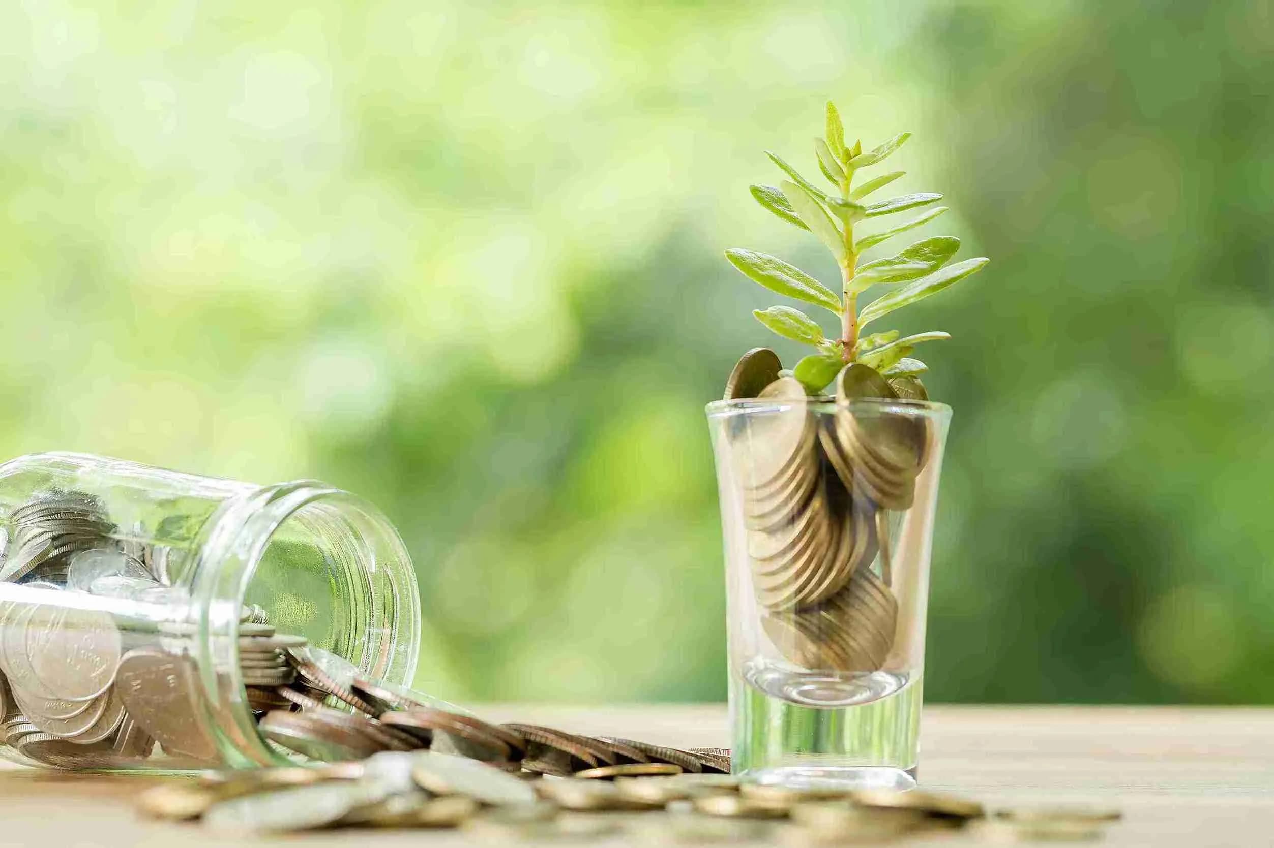 Sudahkah Kamu Tahu Soal 8 Golongan Penerima Zakat Maal? Simak